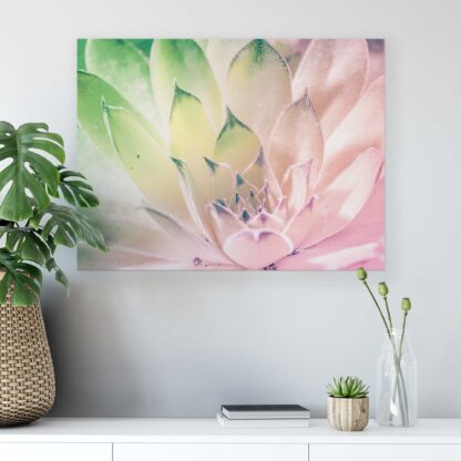 Plants (2135CV) - Image 4