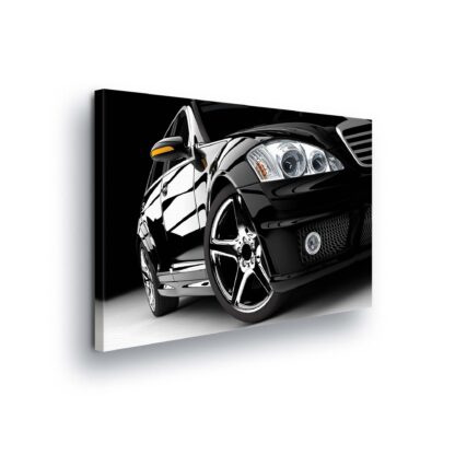 Cars and Transport (213CV)