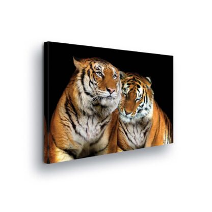Animals and Living (21403CV)
