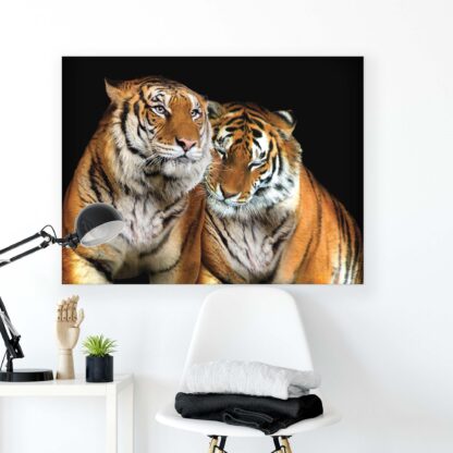Animals and Living (21403CV) - Image 2