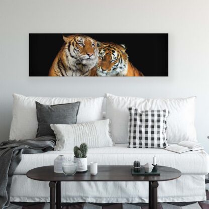 Animals and Living (21403CV) - Image 3