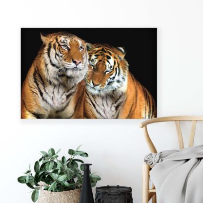 Animals and Living (21403CV) - Image 4
