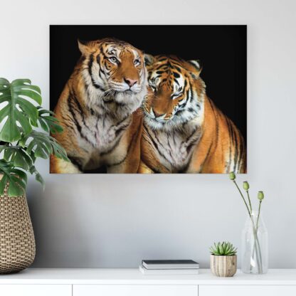 Animals and Living (21403CV) - Image 6