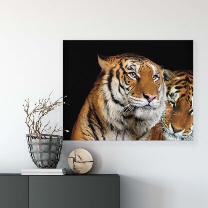 Animals and Living (21403CV) - Image 7