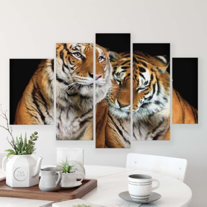 Animals and Living (21403CV) - Image 8