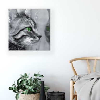 Animals and Living (21405CV) - Image 2