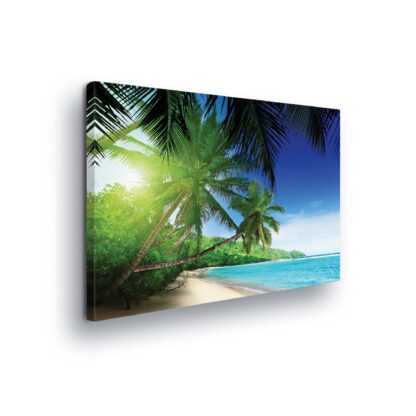 Tropical (226CV)