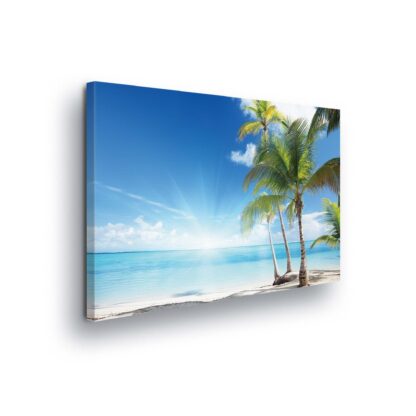Tropical (227CV)
