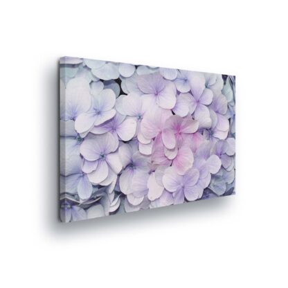 Flowers (2295CV)