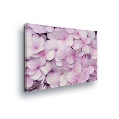 Flowers (2297CV)