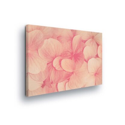 Flowers (2298CV)