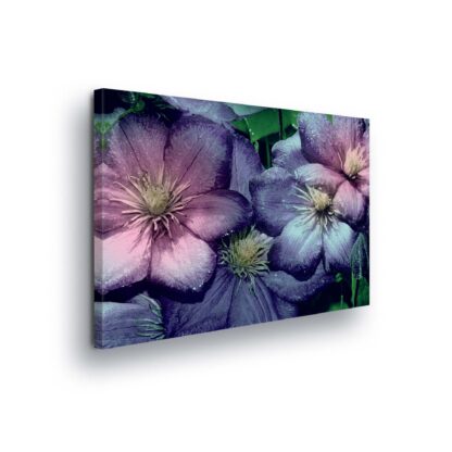 Flowers (2299CV)