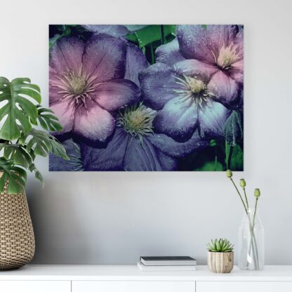Flowers (2299CV) - Image 4