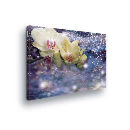 Modern Flowers, Nature, and Swirls (2320CV)