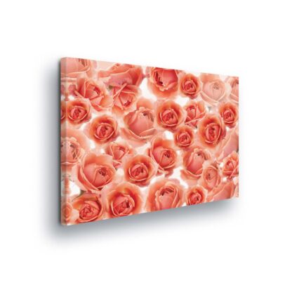 Flowers (2339CV)