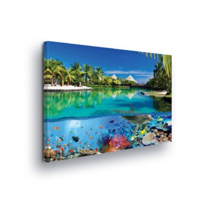 Tropical (2355CV)