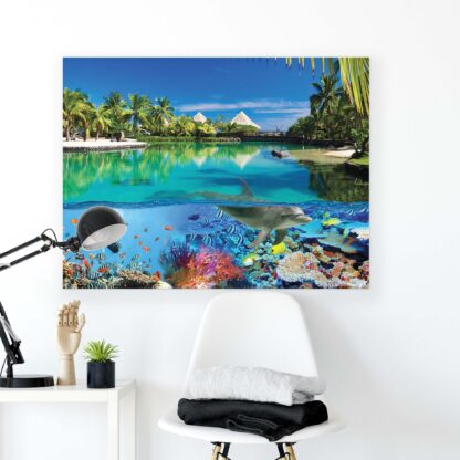 Tropical (2355CV) - Image 2