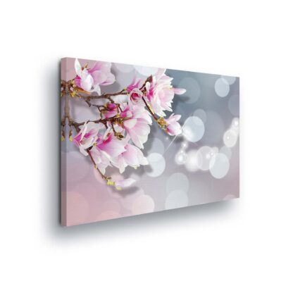 Flowers (2364CV)