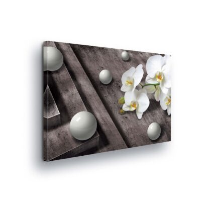 Modern Flowers, Nature, and Swirls (2407CV)