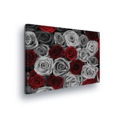 Flowers (2430CV)