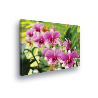 Flowers (2461CV)