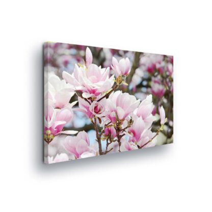 Flowers (2463CV)