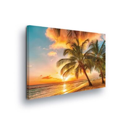 Tropical (2467CV)