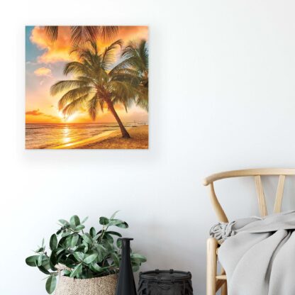 Tropical (2467CV) - Image 5