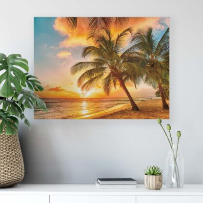Tropical (2467CV) - Image 6