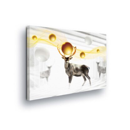 Animals and Living (2479CV)