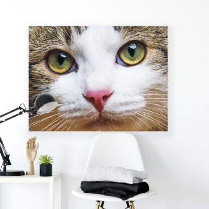 Animals and Living (2491CV) - Image 2