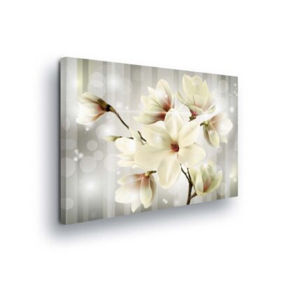 Modern Flowers, Nature, and Swirls (2511CV)