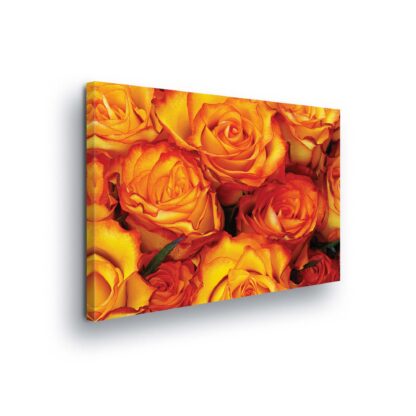 Flowers (2512CV)