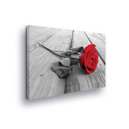 Flowers (2544CV)