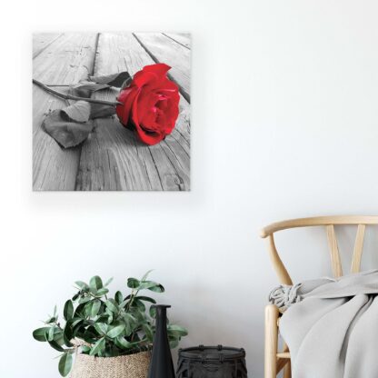 Flowers (2544CV) - Image 4