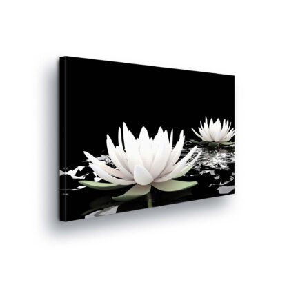 Flowers (2545CV)
