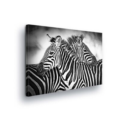 Animals and Living (2595CV)