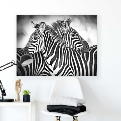 Animals and Living (2595CV) - Image 2