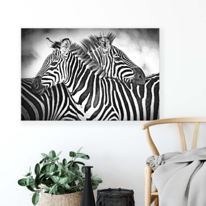Animals and Living (2595CV) - Image 3