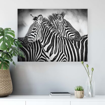 Animals and Living (2595CV) - Image 4