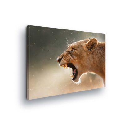 Animals and Living (2597CV)