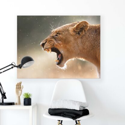 Animals and Living (2597CV) - Image 2