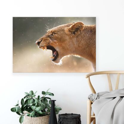Animals and Living (2597CV) - Image 4
