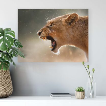 Animals and Living (2597CV) - Image 6