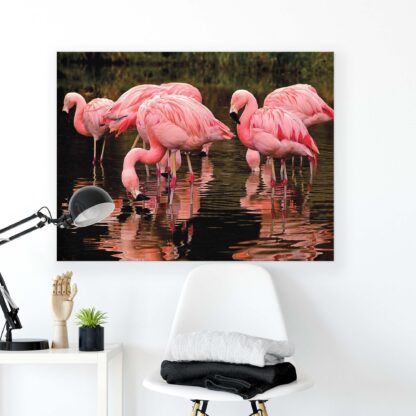 Animals and Living (2598CV) - Image 2