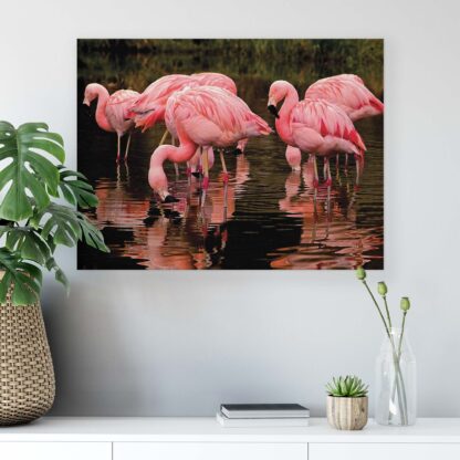 Animals and Living (2598CV) - Image 4