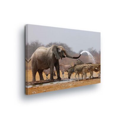 Animals and Living (2599CV)