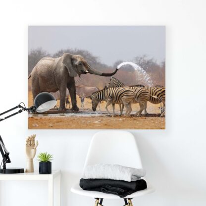 Animals and Living (2599CV) - Image 2