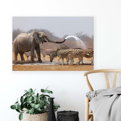 Animals and Living (2599CV) - Image 3