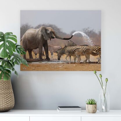 Animals and Living (2599CV) - Image 4